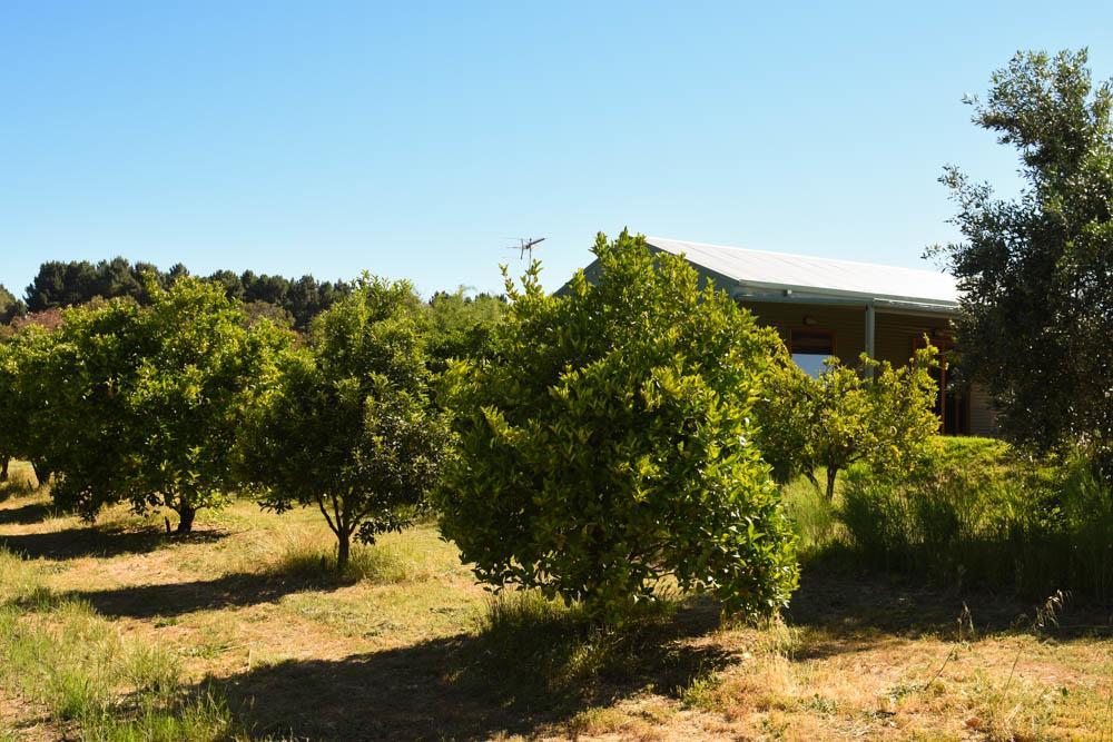 Swan Valley Sisters Henley Brook Екстериор снимка