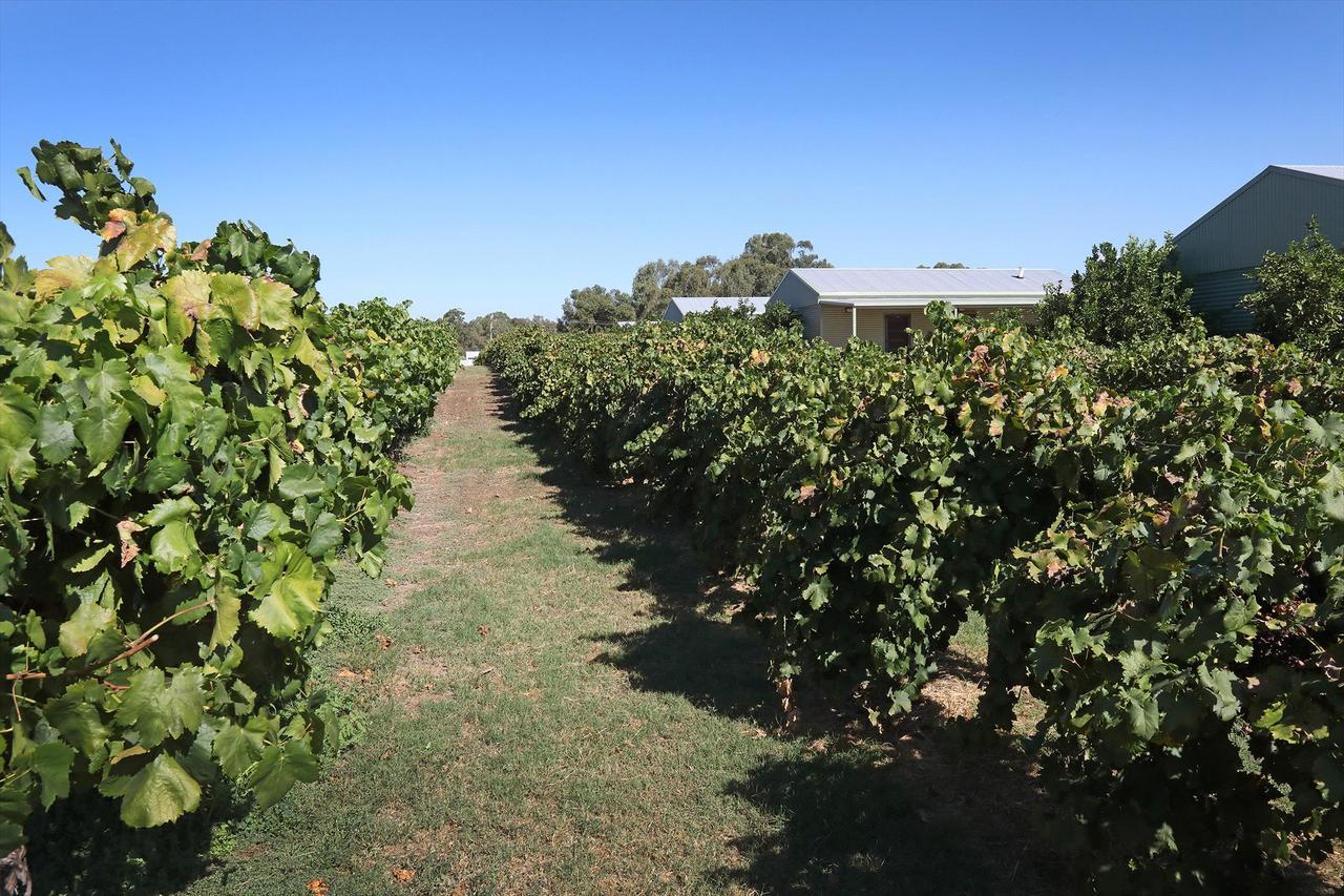 Swan Valley Sisters Henley Brook Екстериор снимка