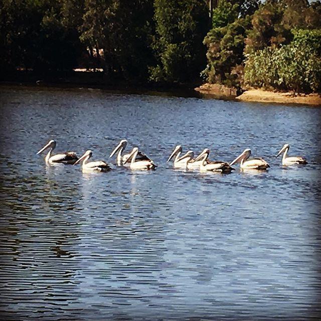 Swan Valley Sisters Henley Brook Екстериор снимка